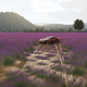 Illustration for article titled Burn Rubber Through Europe with the emForza Horizon 2/em Travel Guide